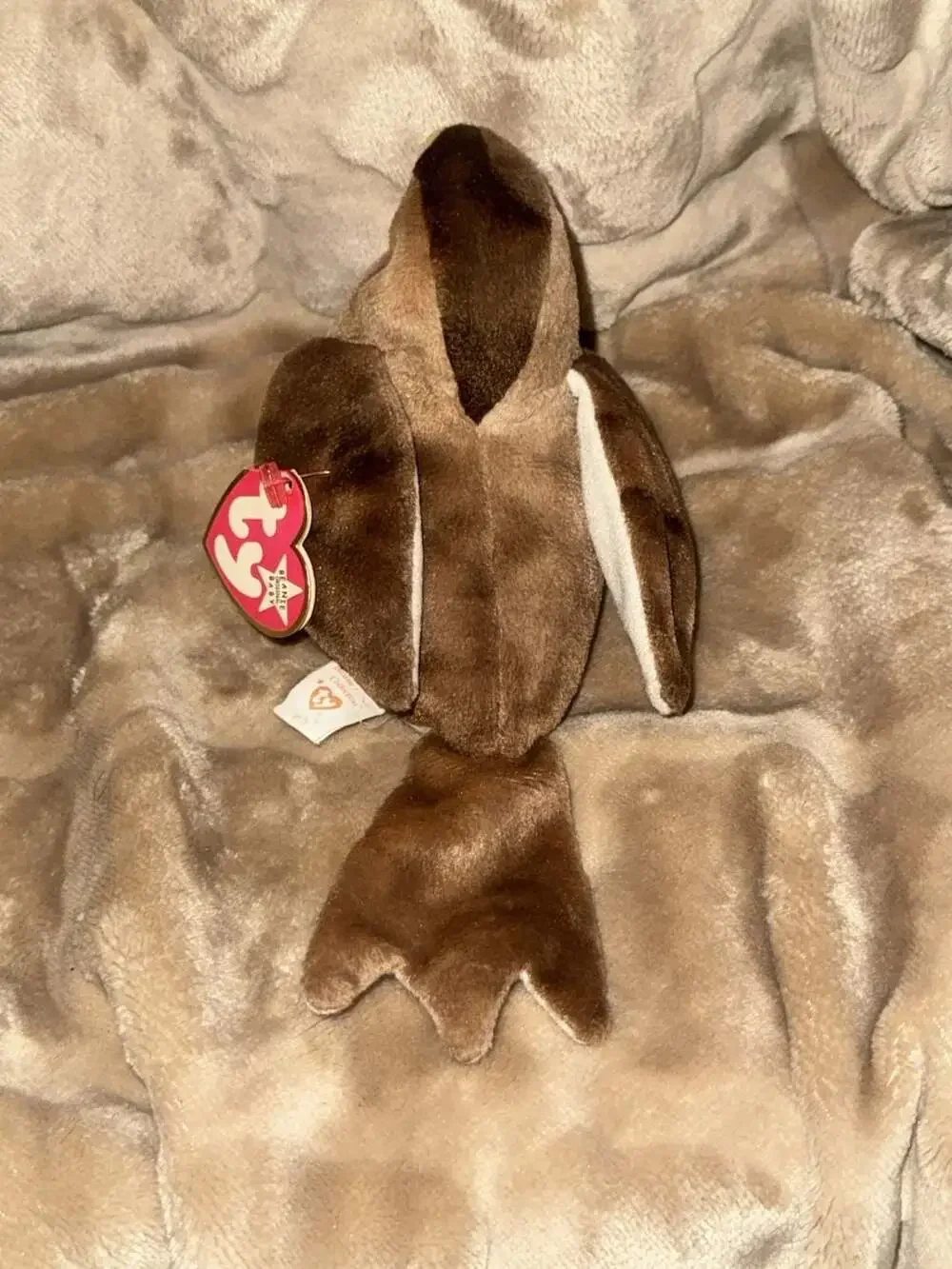 Early the Robin Bird Beanie Baby Plush
